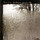 Cover for For Emma, Forever Ago by Bon Iver